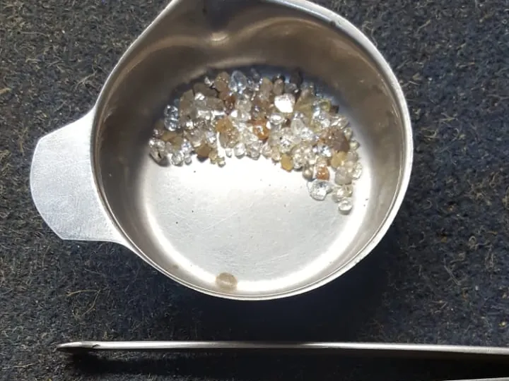 Rough diamonds in a steel sorting dish with a selected row laid out below it